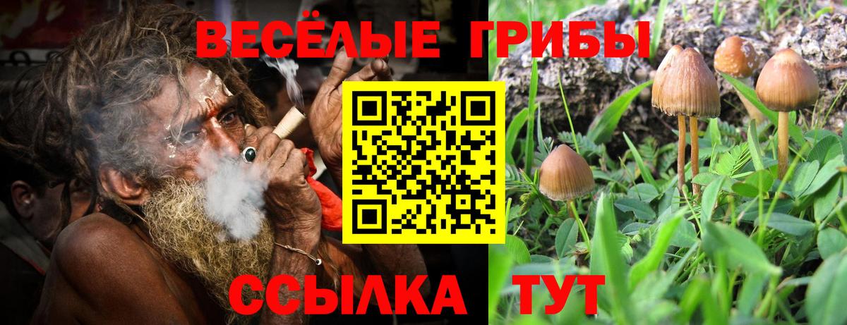 Галлюциногенные грибы мицелий  Вход с VPN  Псилоцибиновые грибы Psilocybine cubensis  Ульяновск 