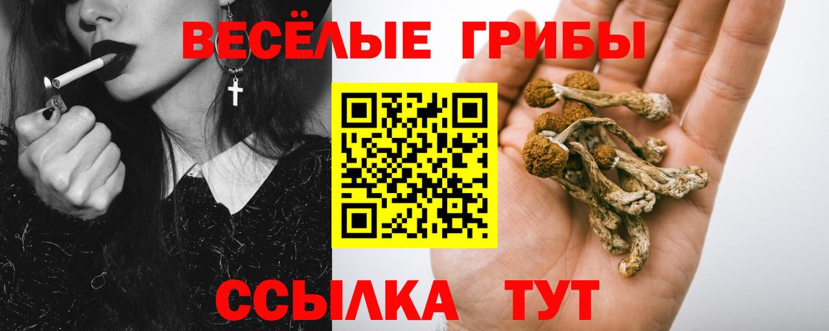 Галлюциногенные грибы Psilocybine cubensis Ульяновск